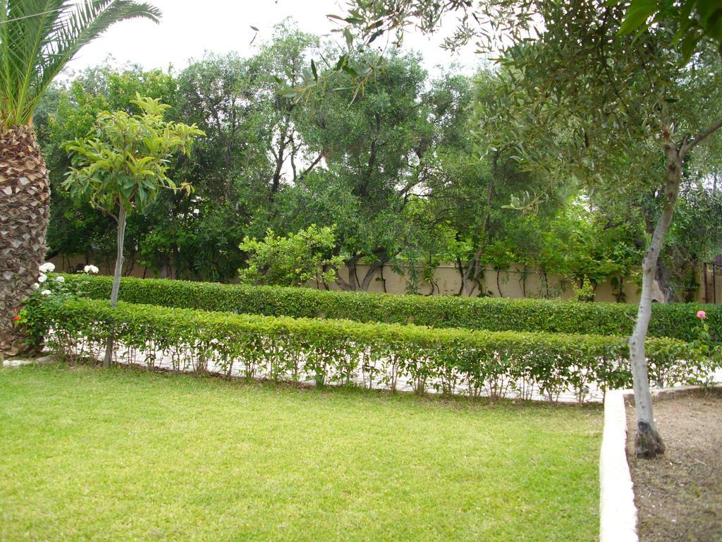 Olga's Garden * Plage d'Almiros