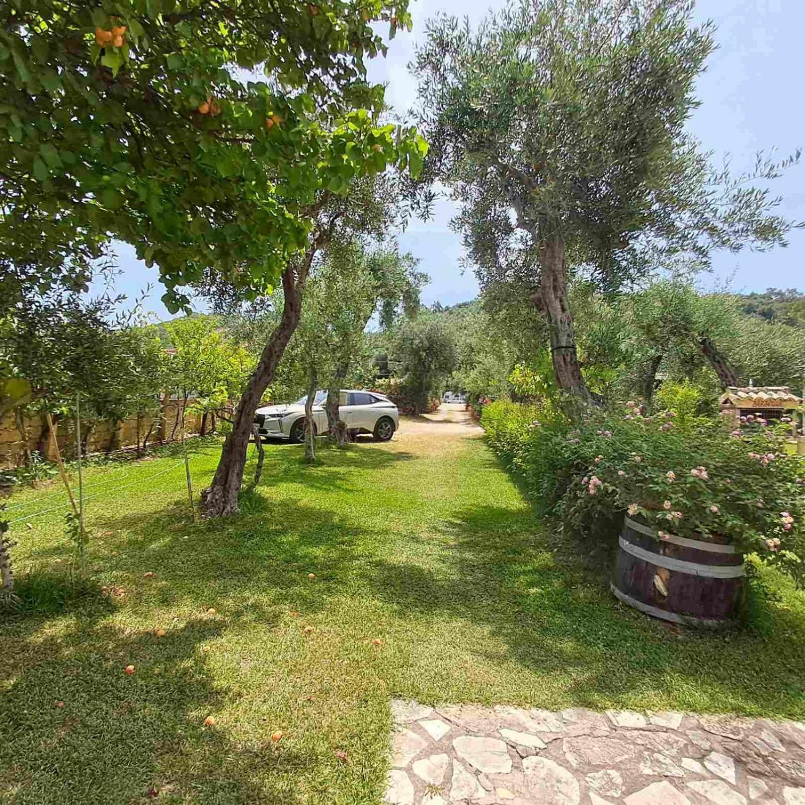 Olga's Garden