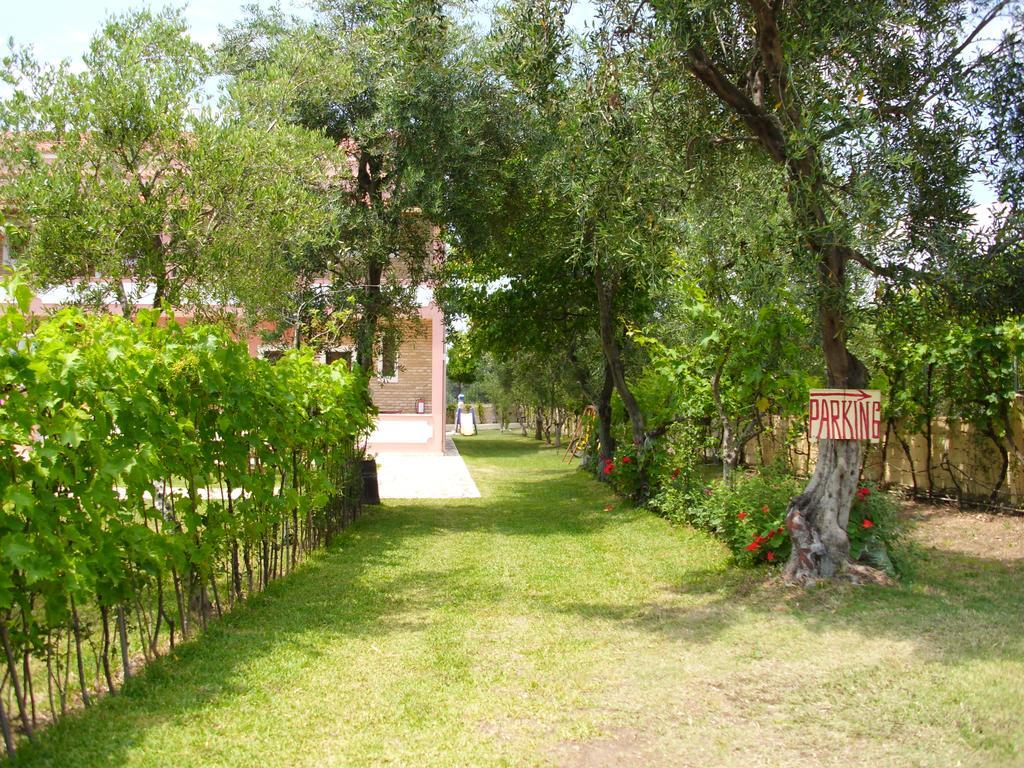 Olga's Garden