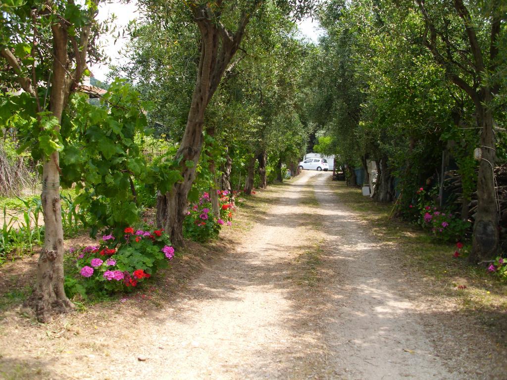 Olga's Garden Plage d'Almiros